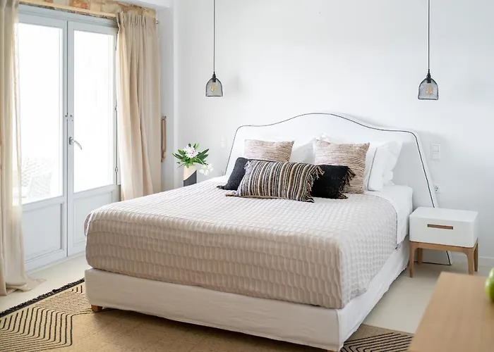 Ambassador Luxury فيلة