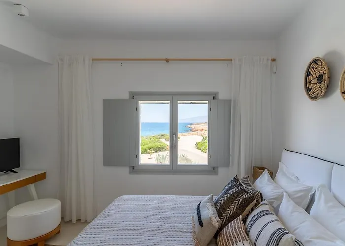 Ambassador Luxury فيلة