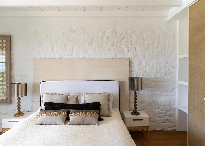 Ambassador Luxury فيلة *