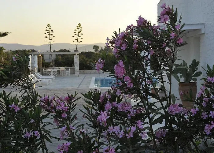 فيلة Ambassador Luxury